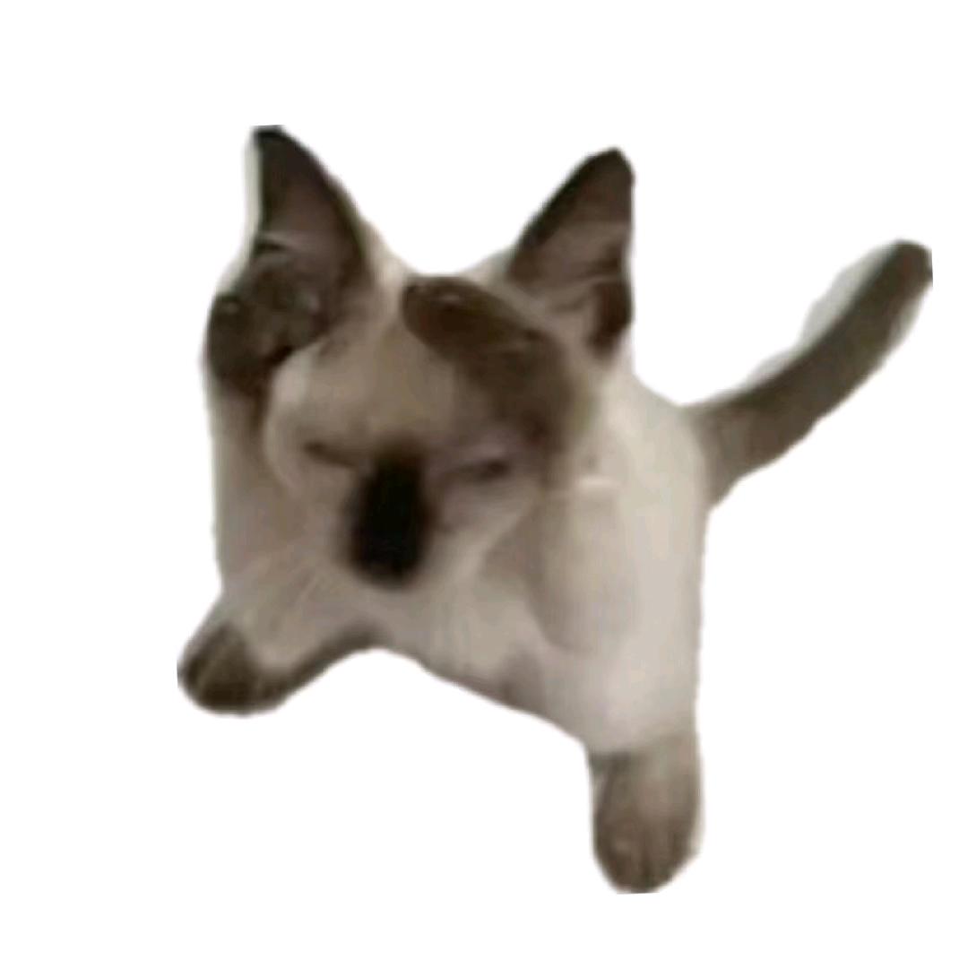 嘀嘀嘀吹
