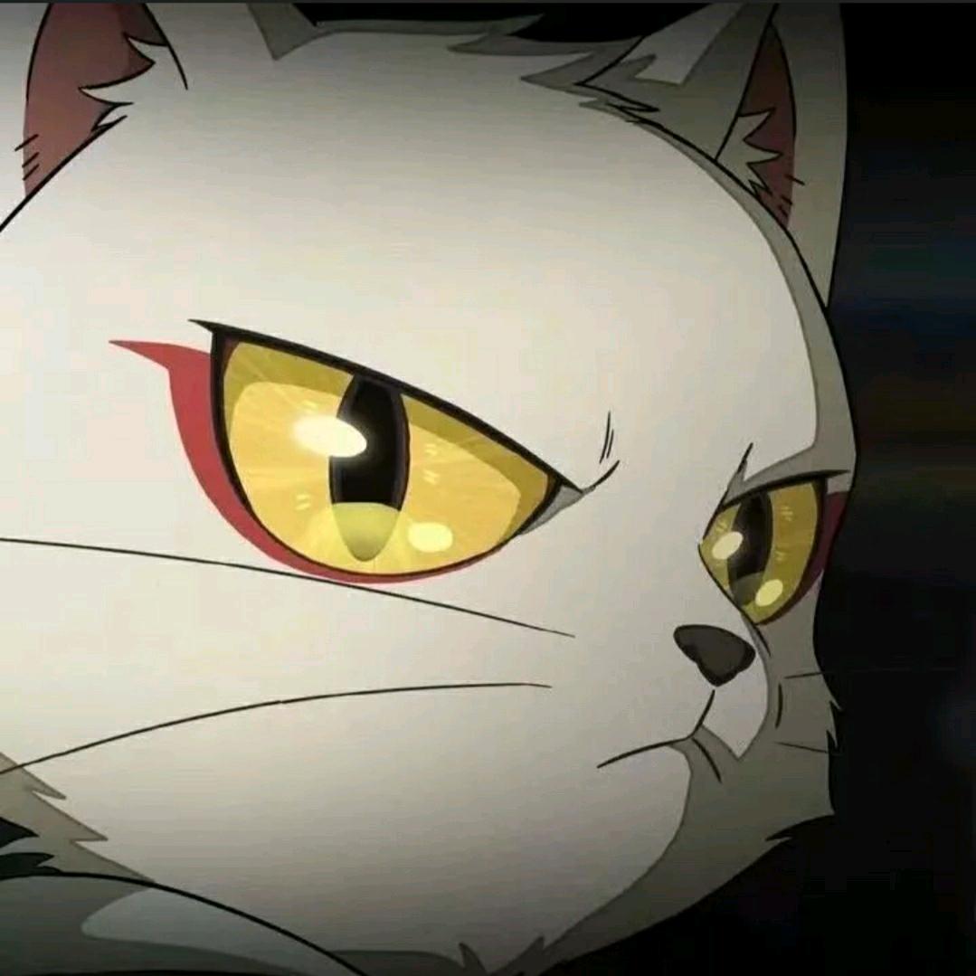 如何_
