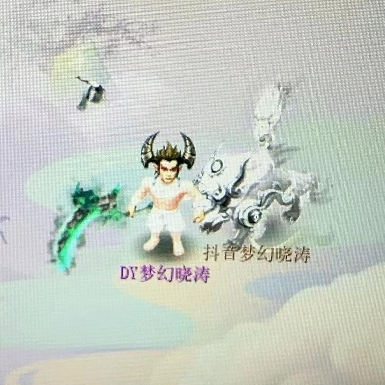 梦幻西游晓涛