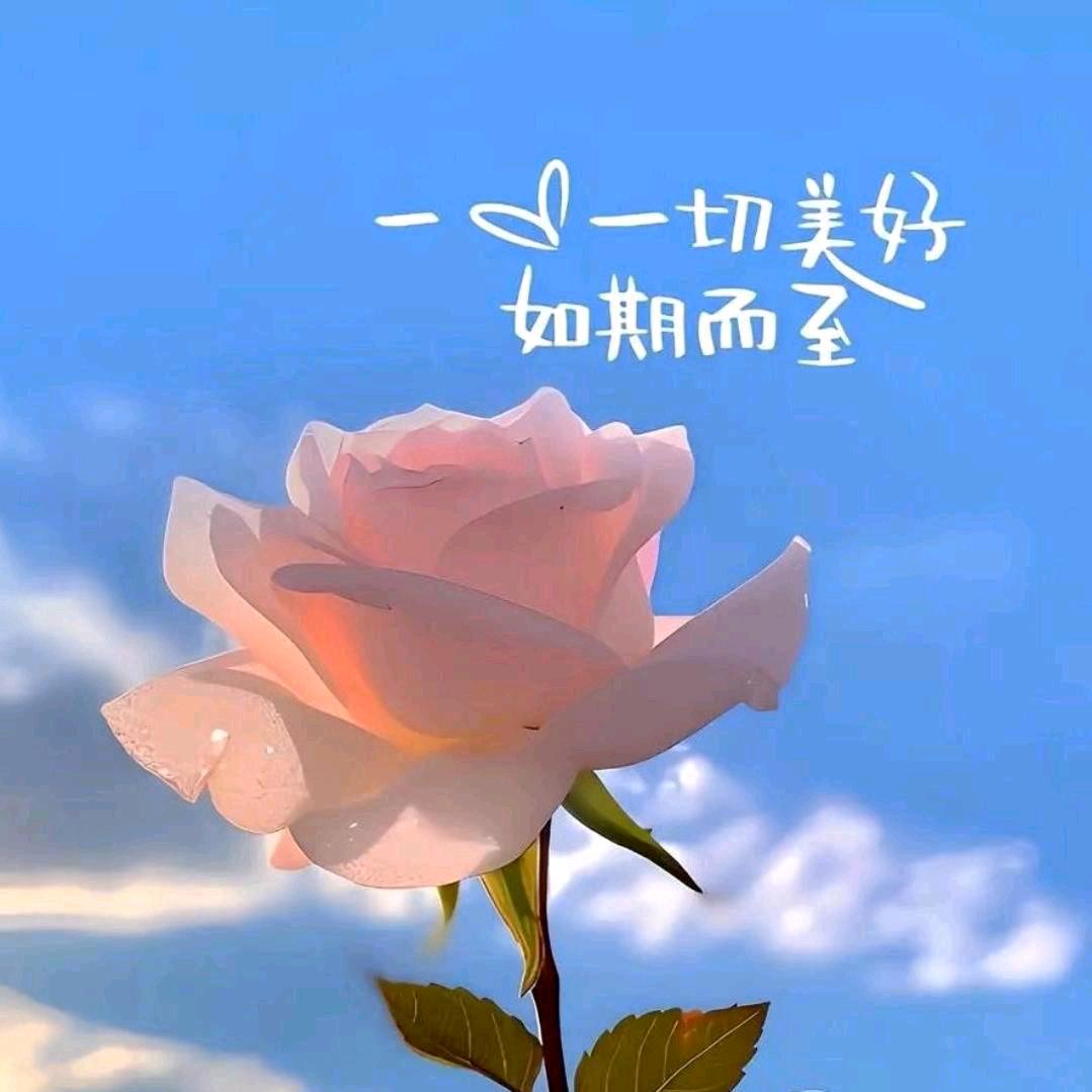 一生有你🌹