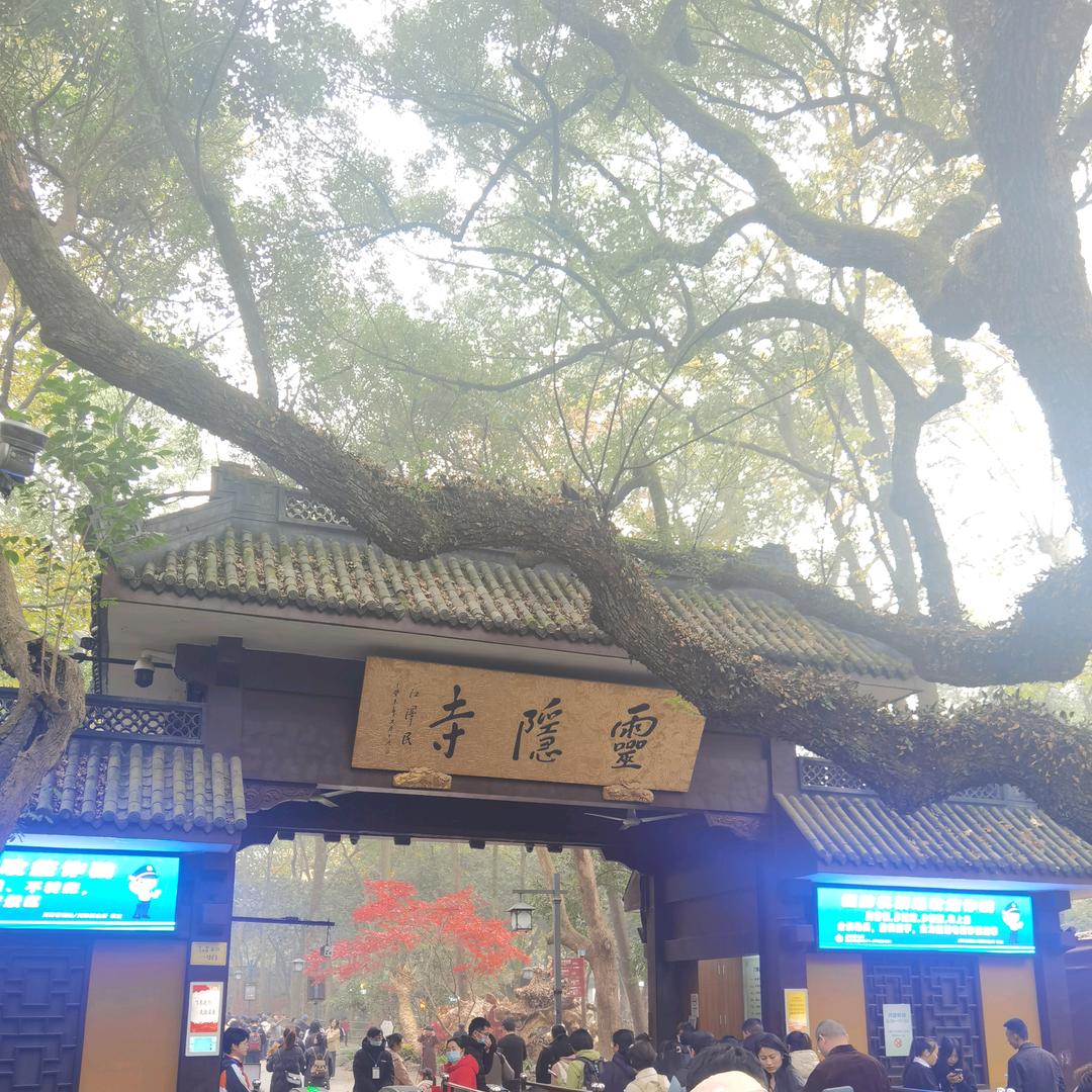 重生之我在杭州做跑腿