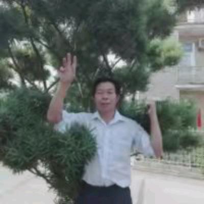 陈定林