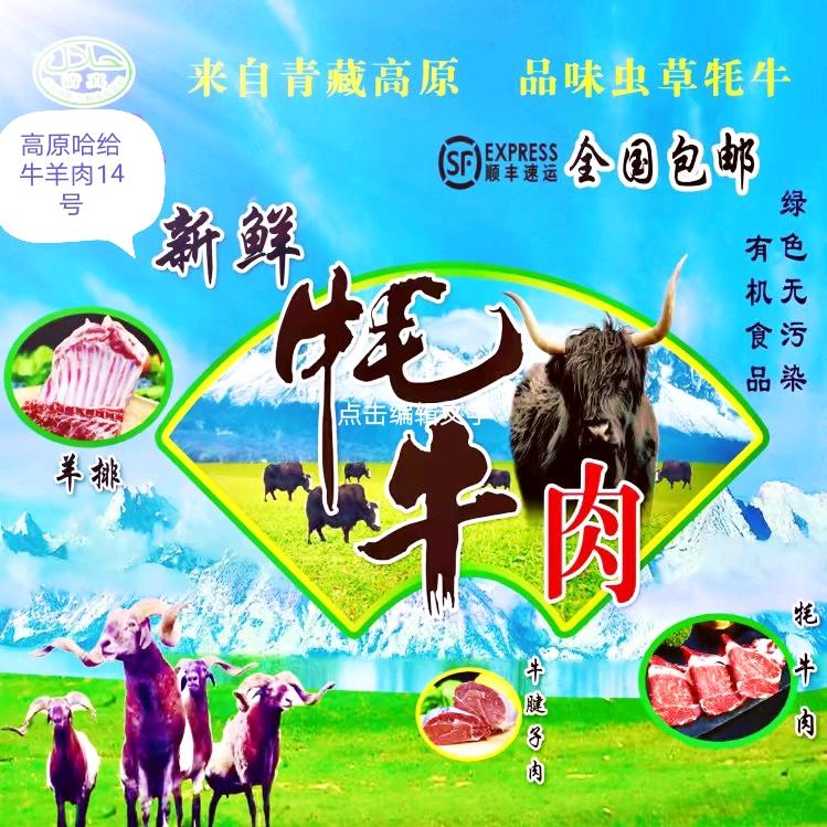高原哈给牛羊肉