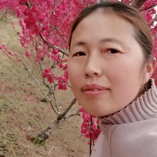 天天快乐