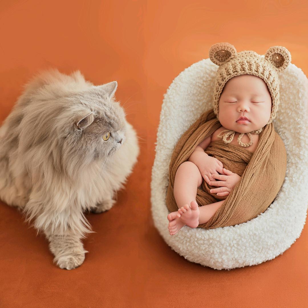 记录小核桃和猪妹的日常