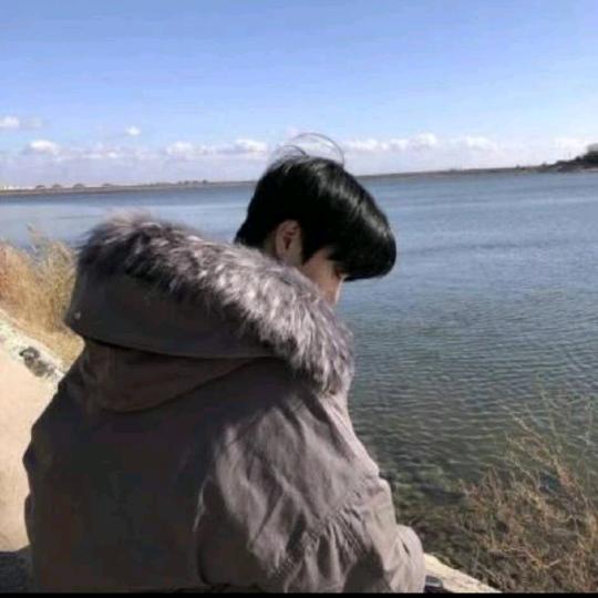 逍遥小叶