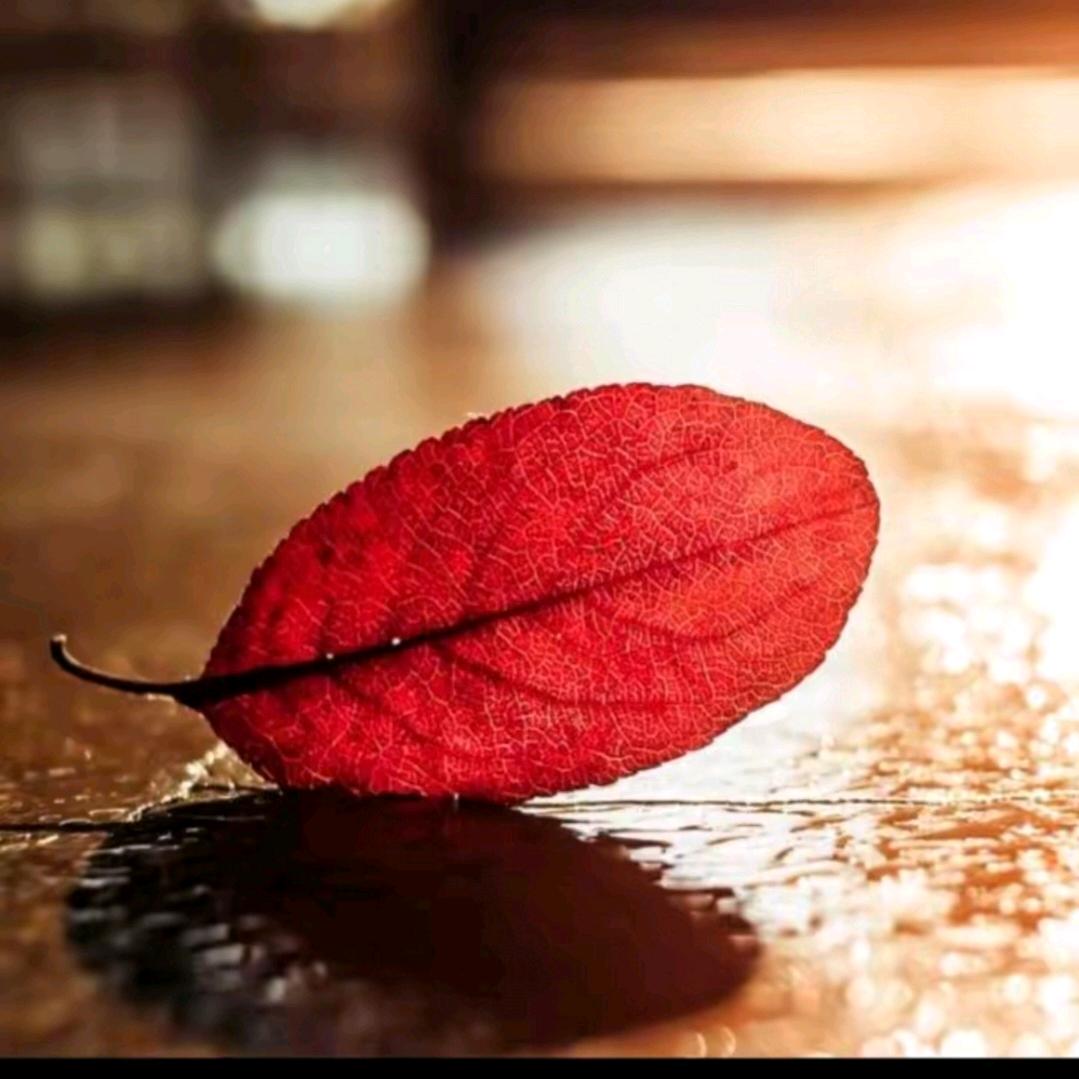 水墨情怀！！！