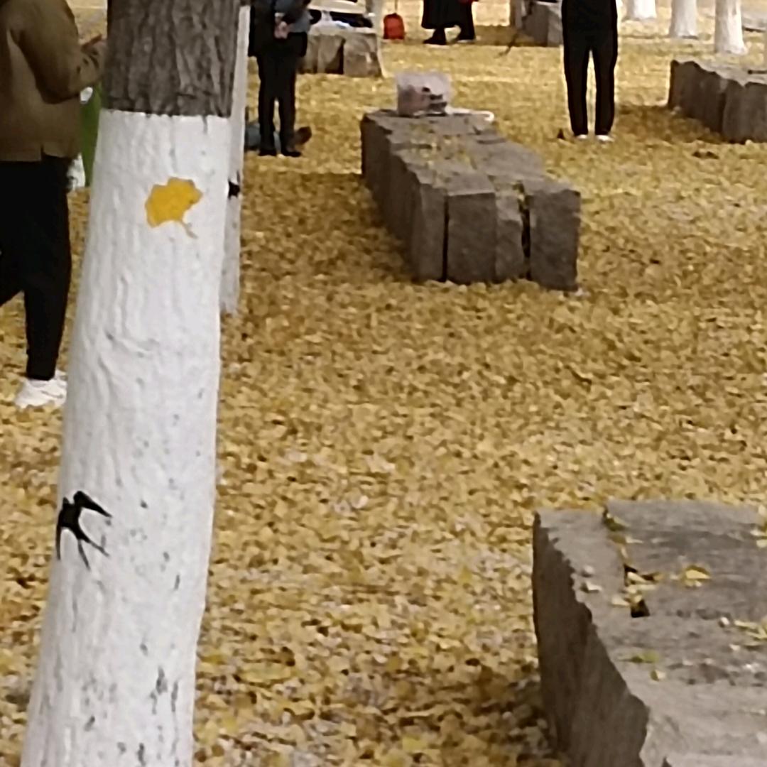 用户7624151709268