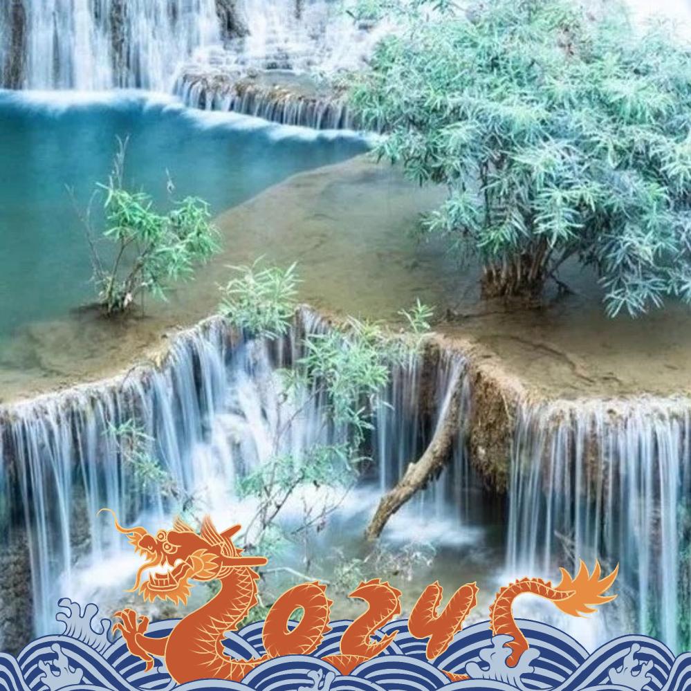 商海魚🌾