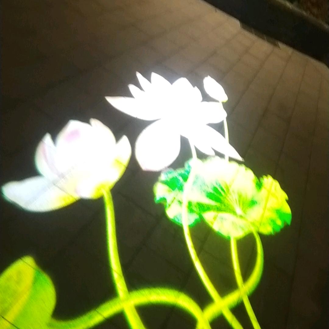 来到人间，只为见你一面