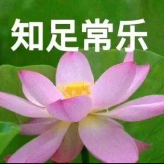 董默涵