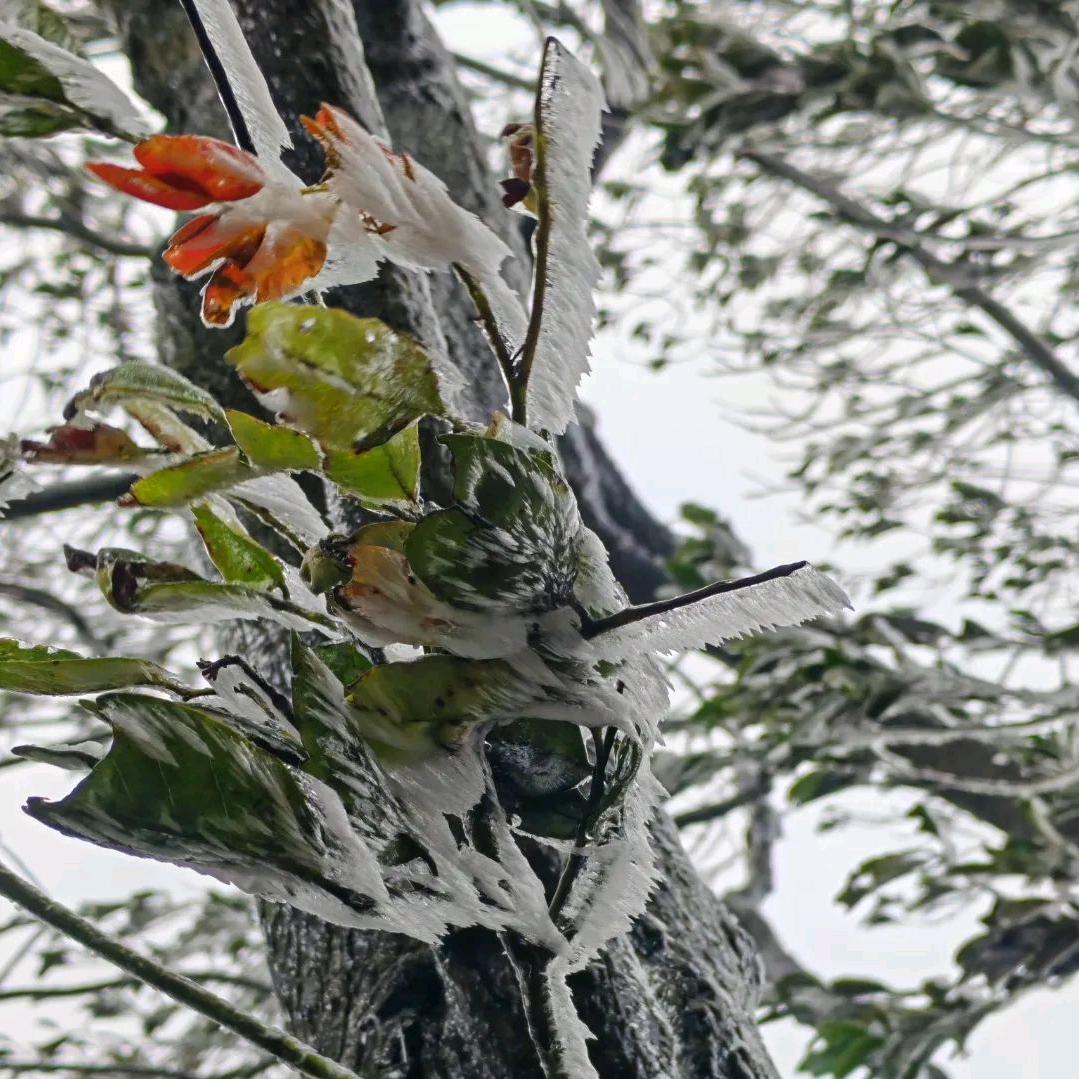 ꧔ꦿ᭄💞杨᭄ꦿ এ⁵²ºꦿ࿐