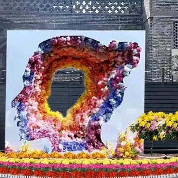 高老师大学生就业