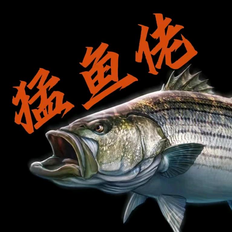 凑热闹的猛鱼佬