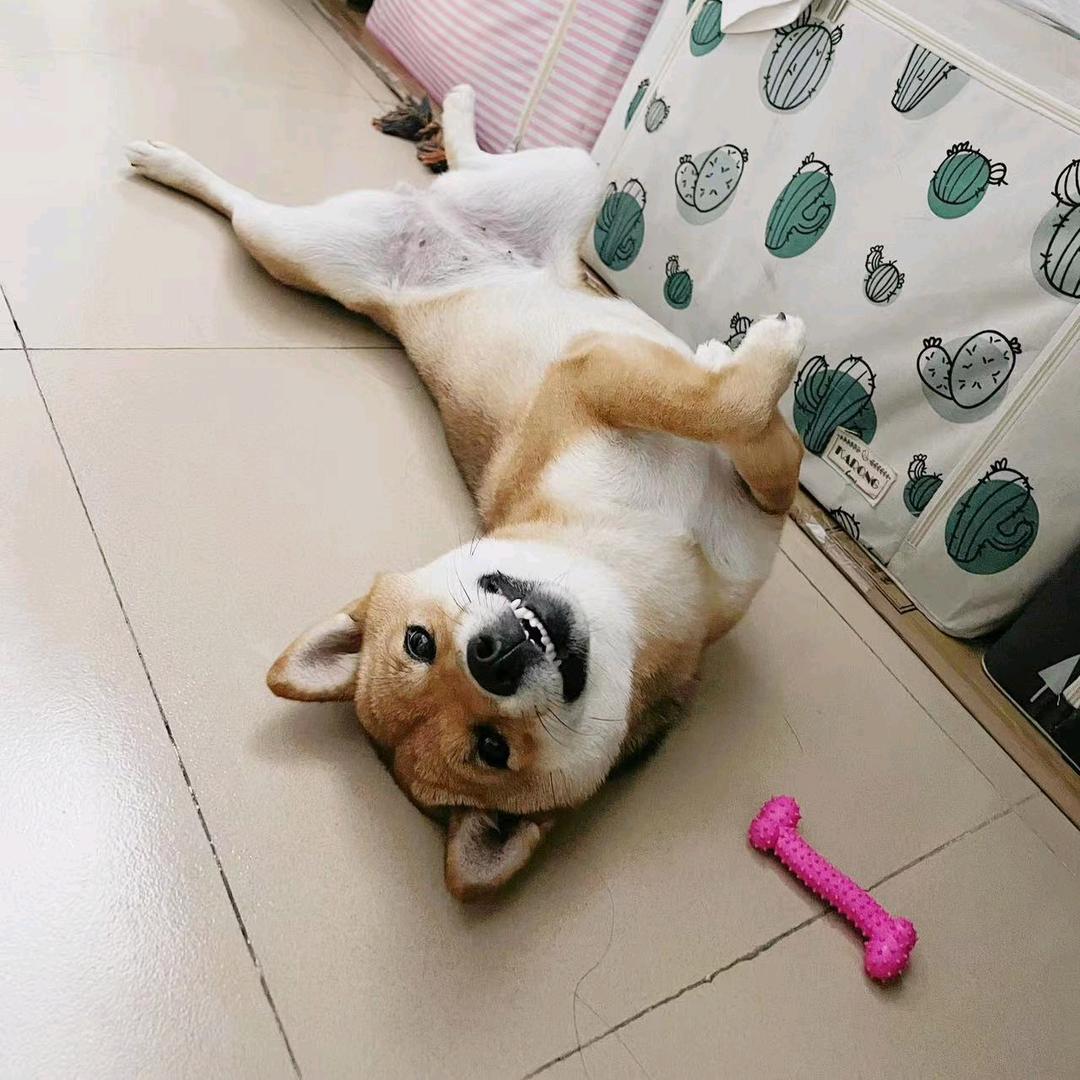 o哈哟