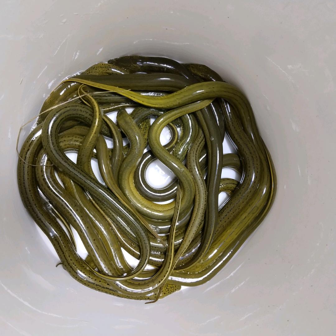城信水产