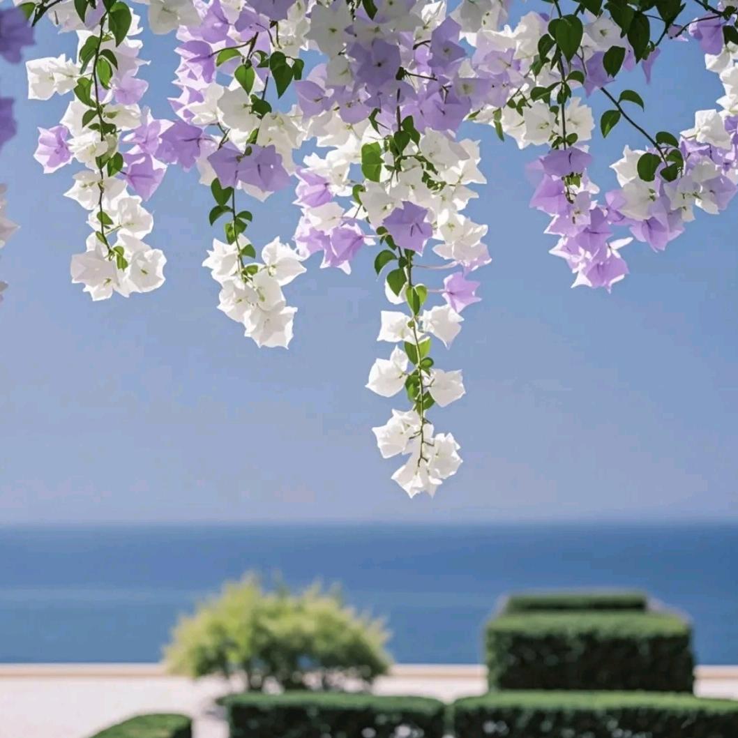 花开花落终有时