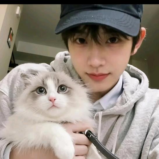 繁华遥远终是景