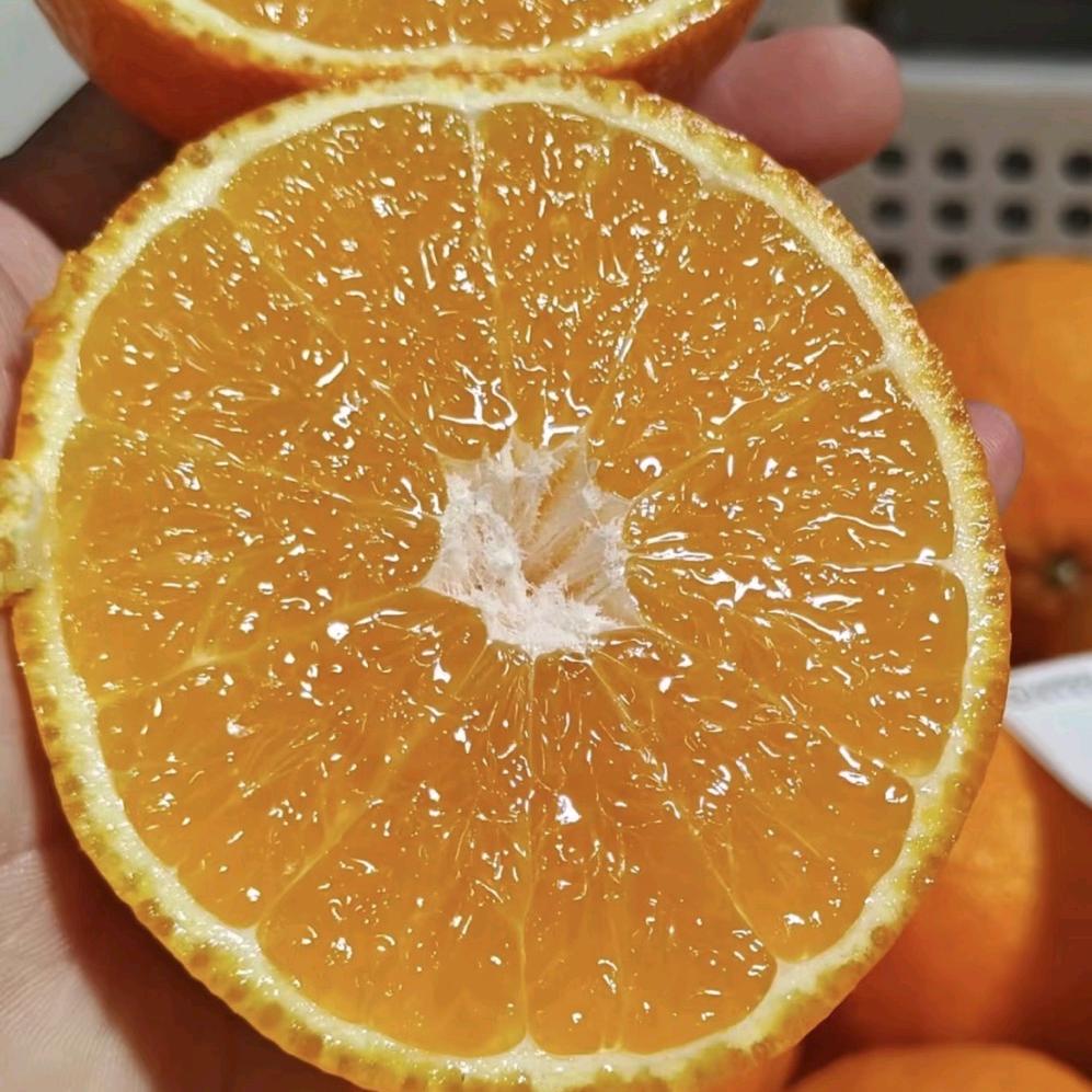 小橙果铺