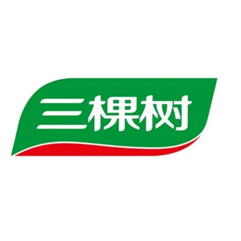 木店专业做真石漆