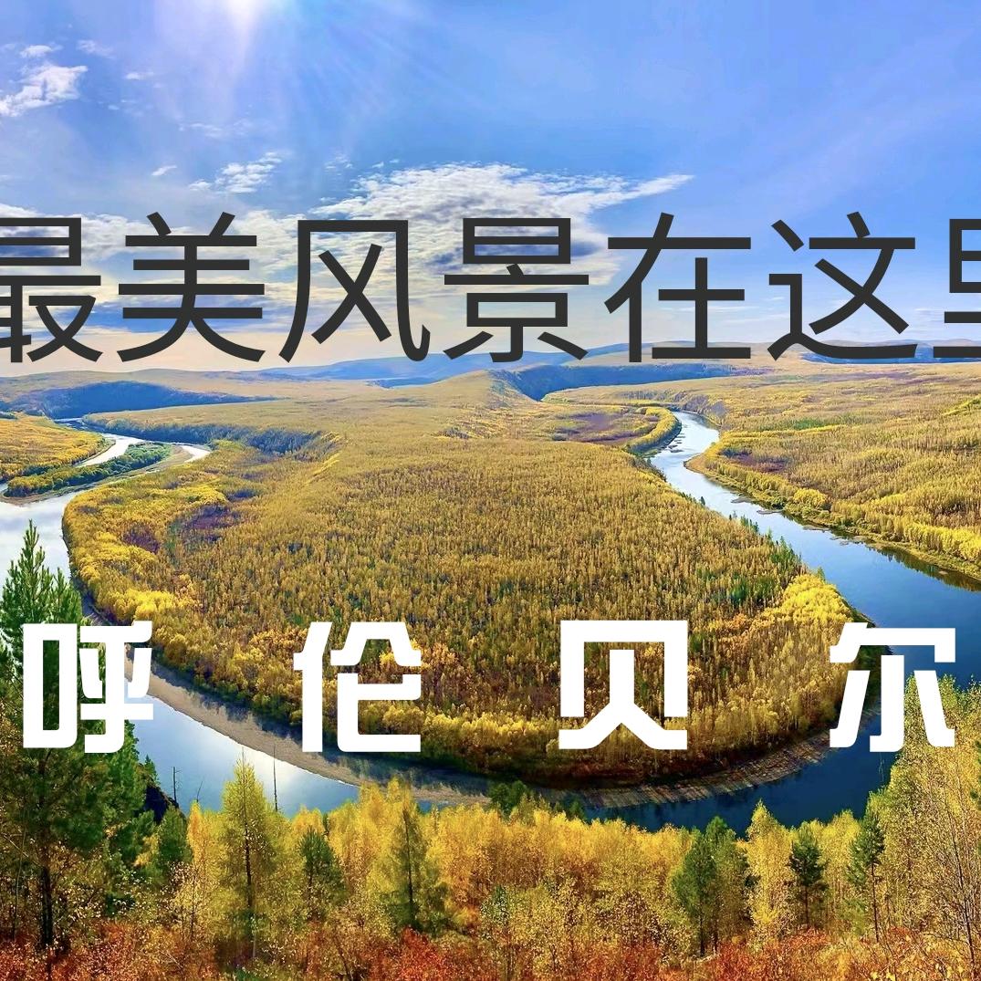 飞哥  带你看草原