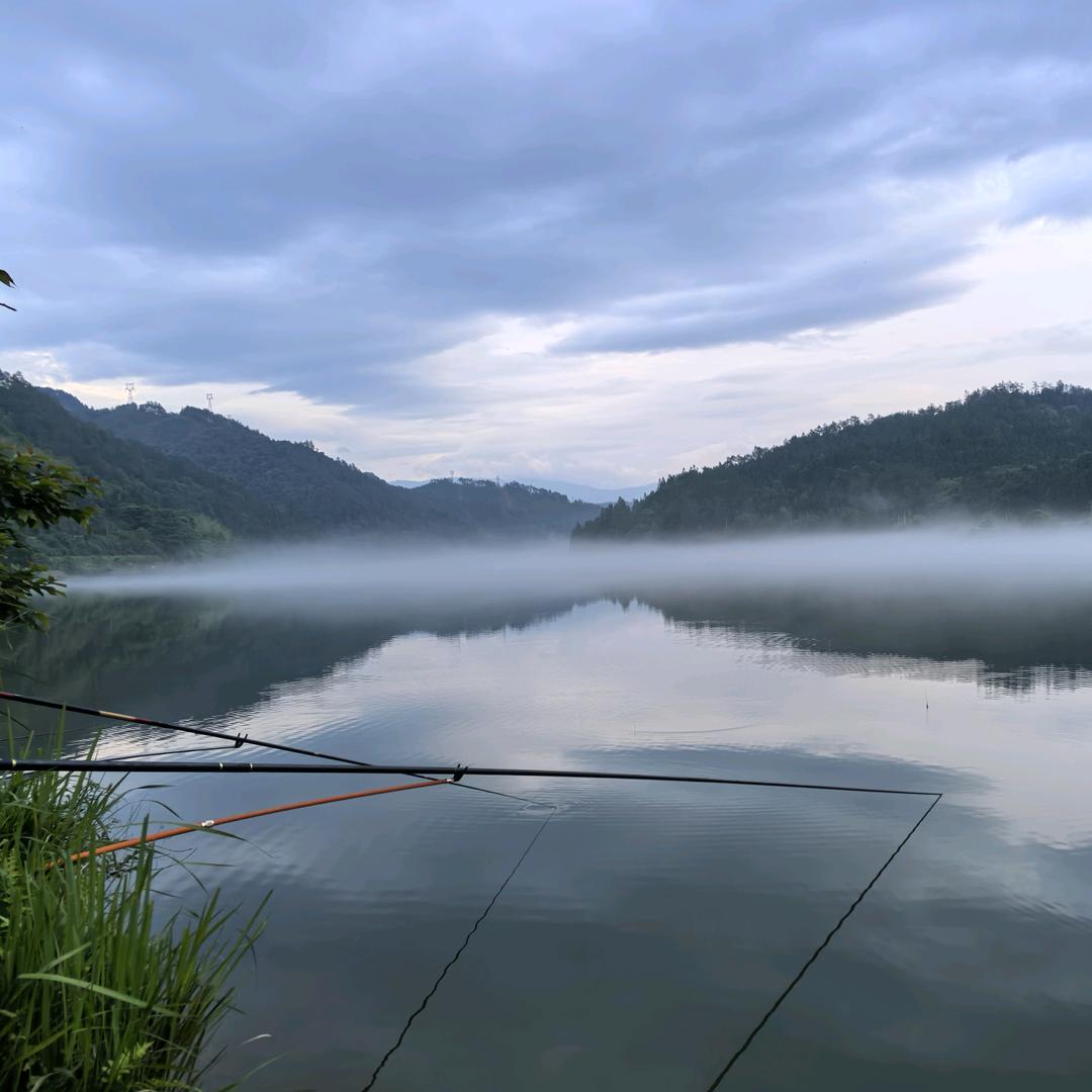 危什么🎣🎣🎣