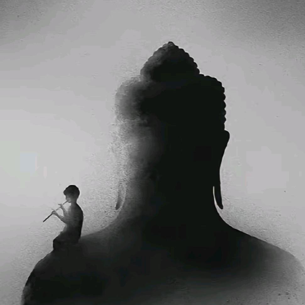柒爷会不会飞