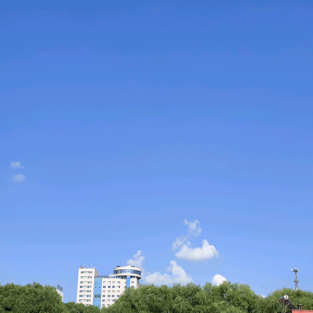 向阳花