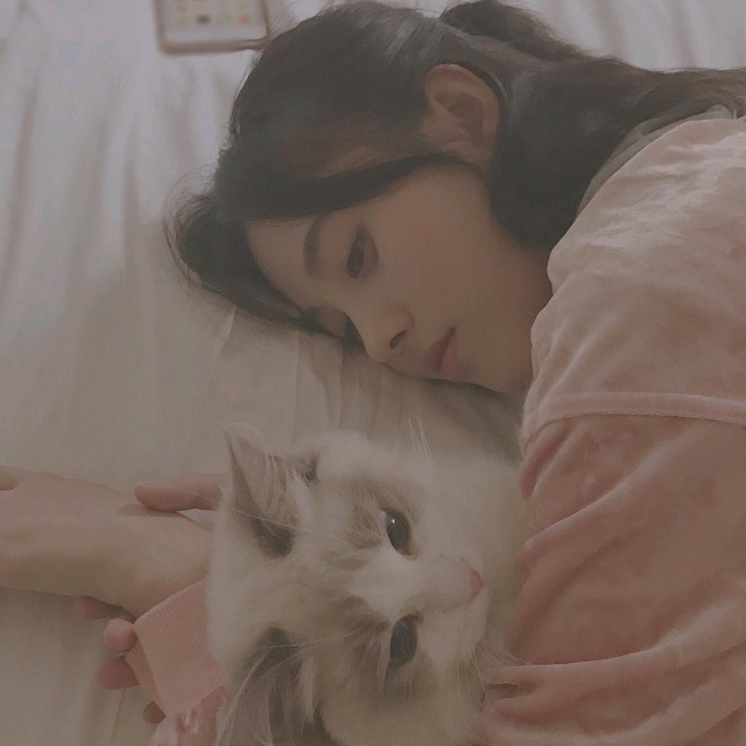 小猫m
