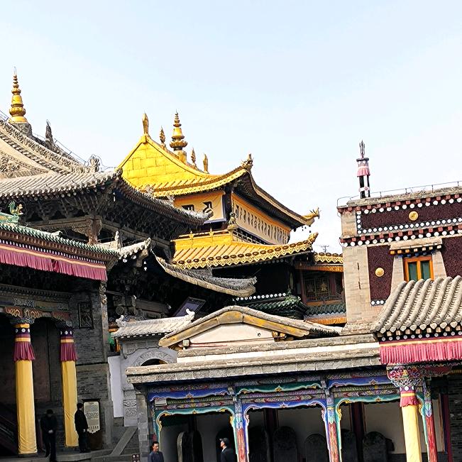 暴龙饲养员