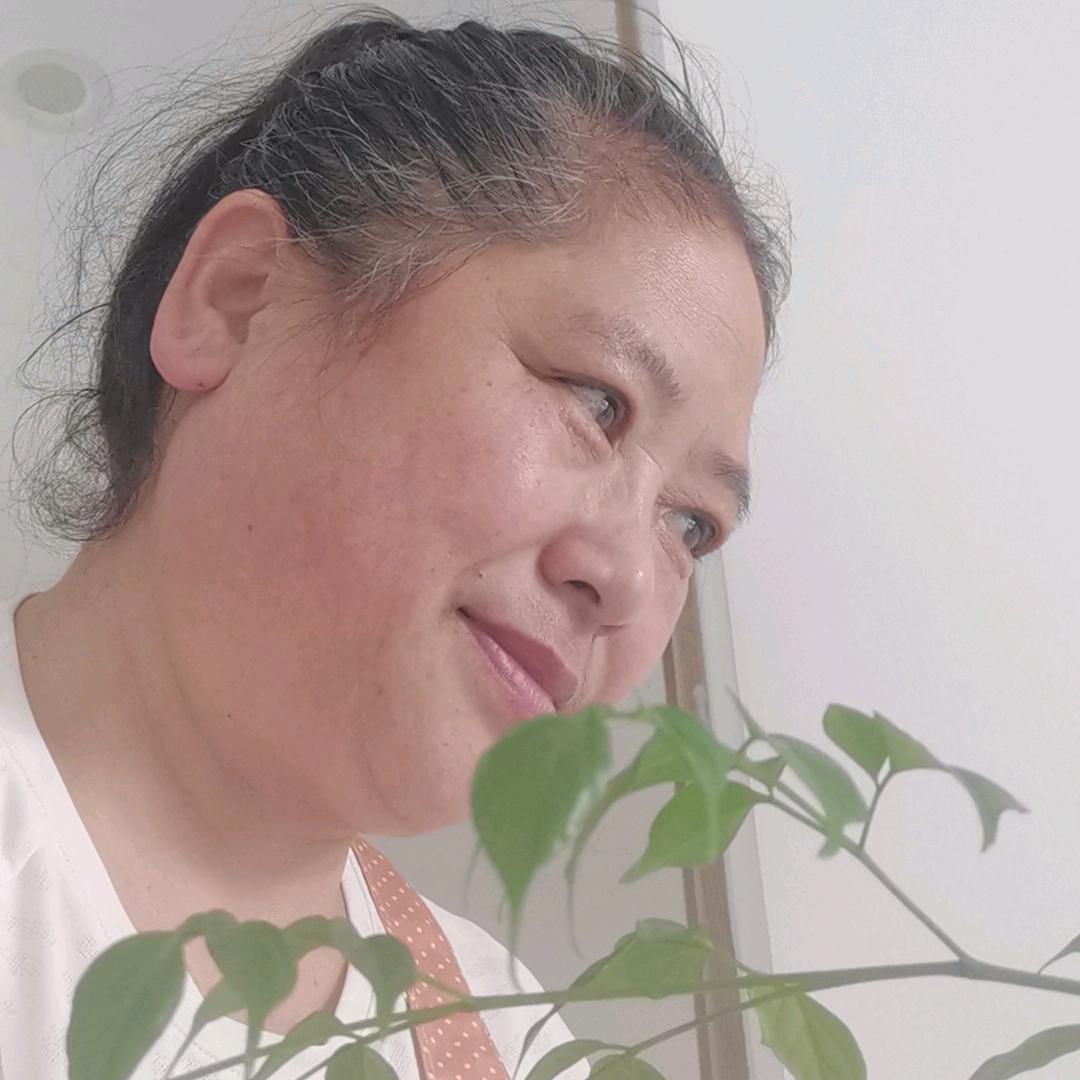 琴姐