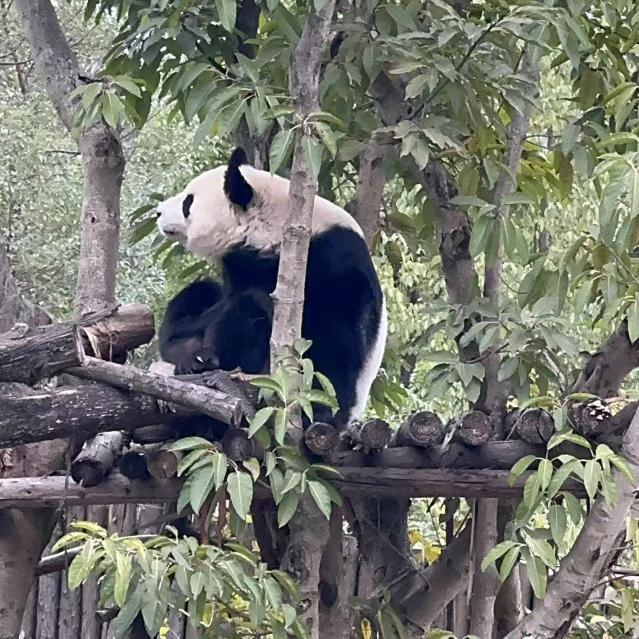 一条闲鱼