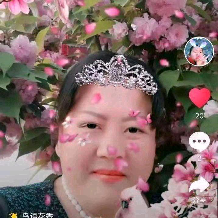 马芙蓉王
