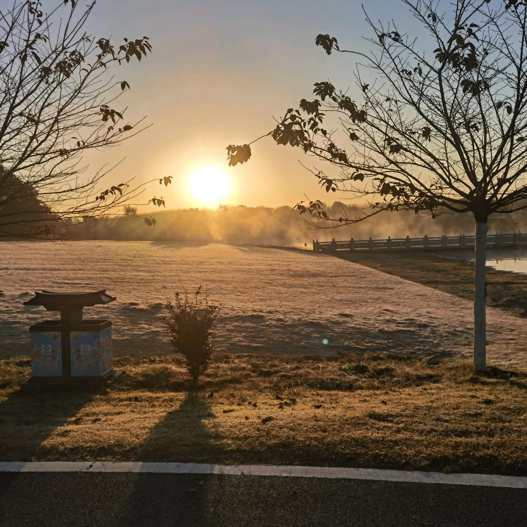 半醒*半知*莫言