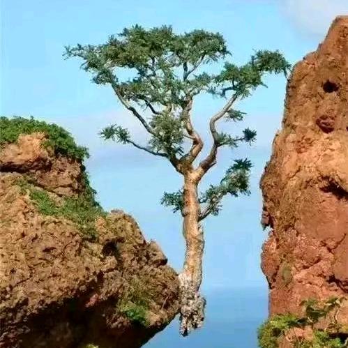 闽心之所向
