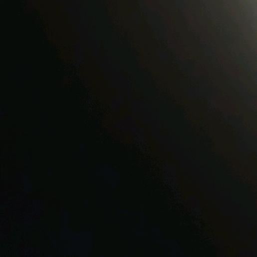 寻觅者