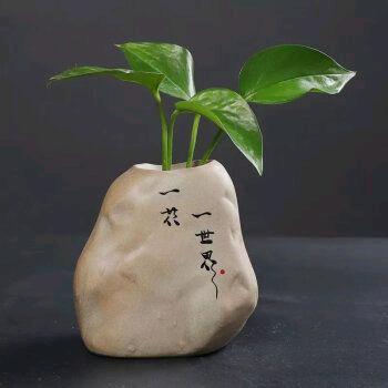 异客