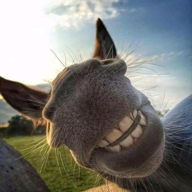 贝壳找房黄春刚