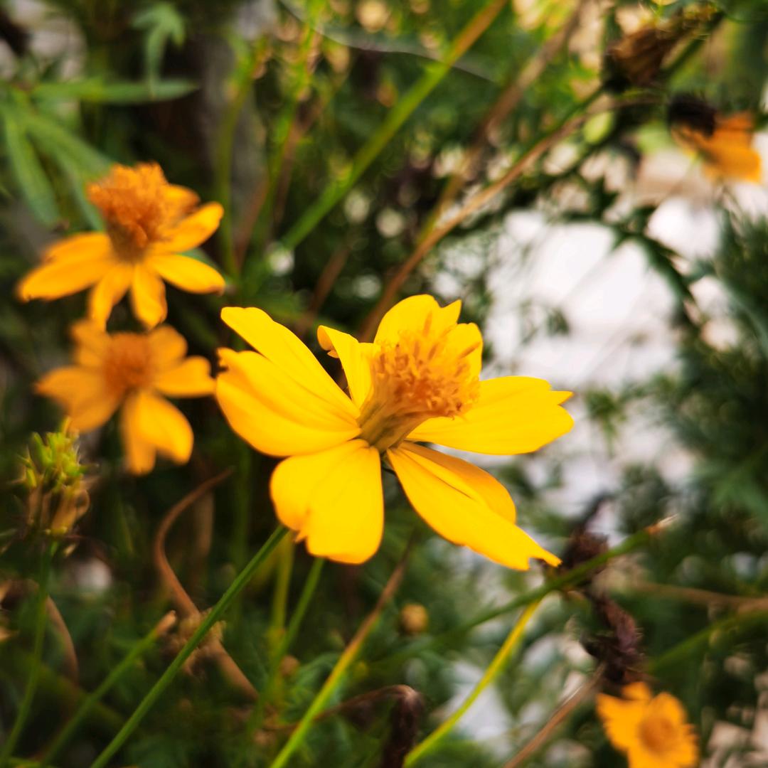 告别过去的枷锁