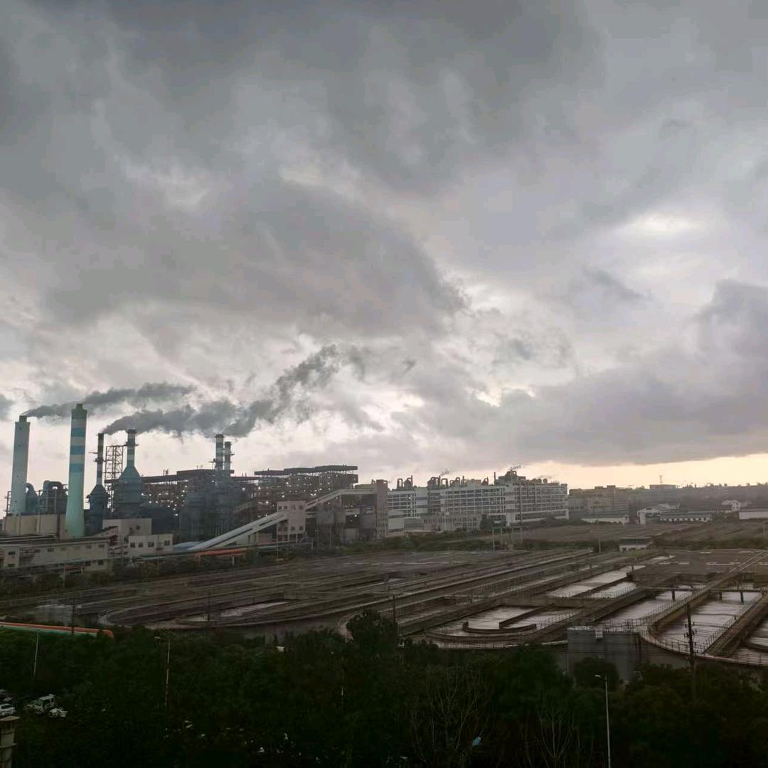笨憨憨