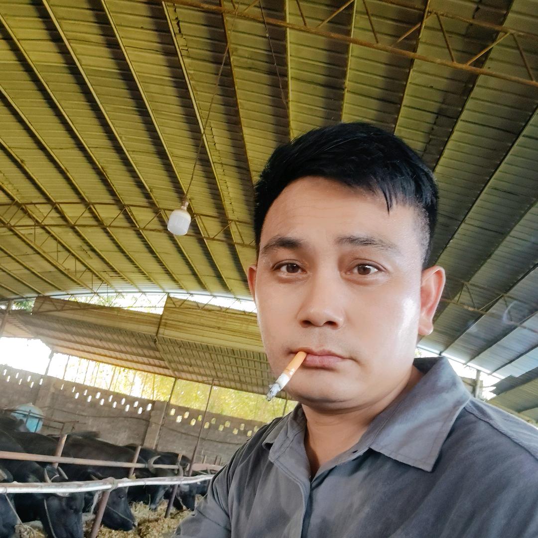 广西中塘杂交水牛服务中心