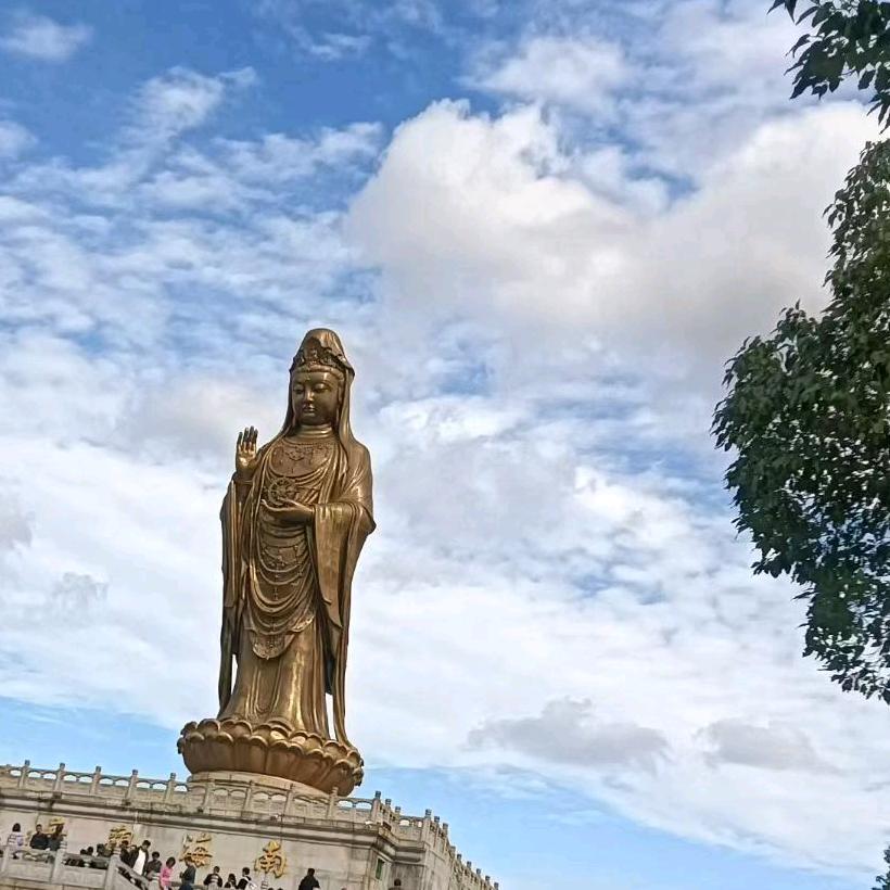 萱姐