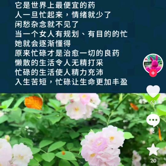 品兰