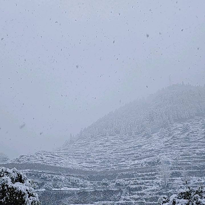 山随时1111