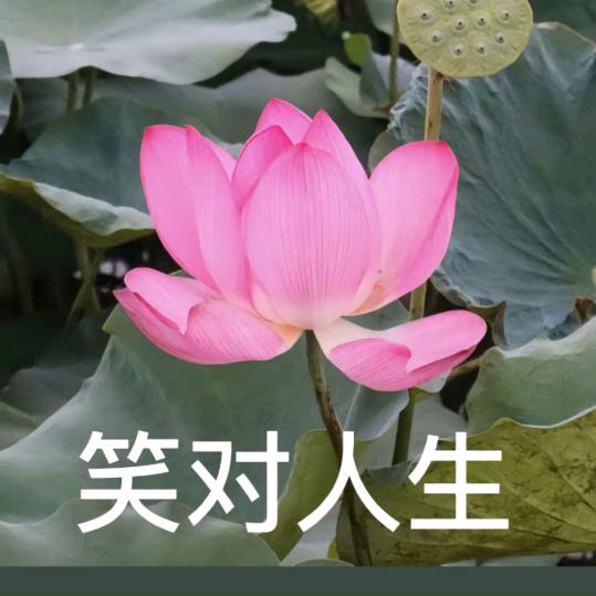 超努力