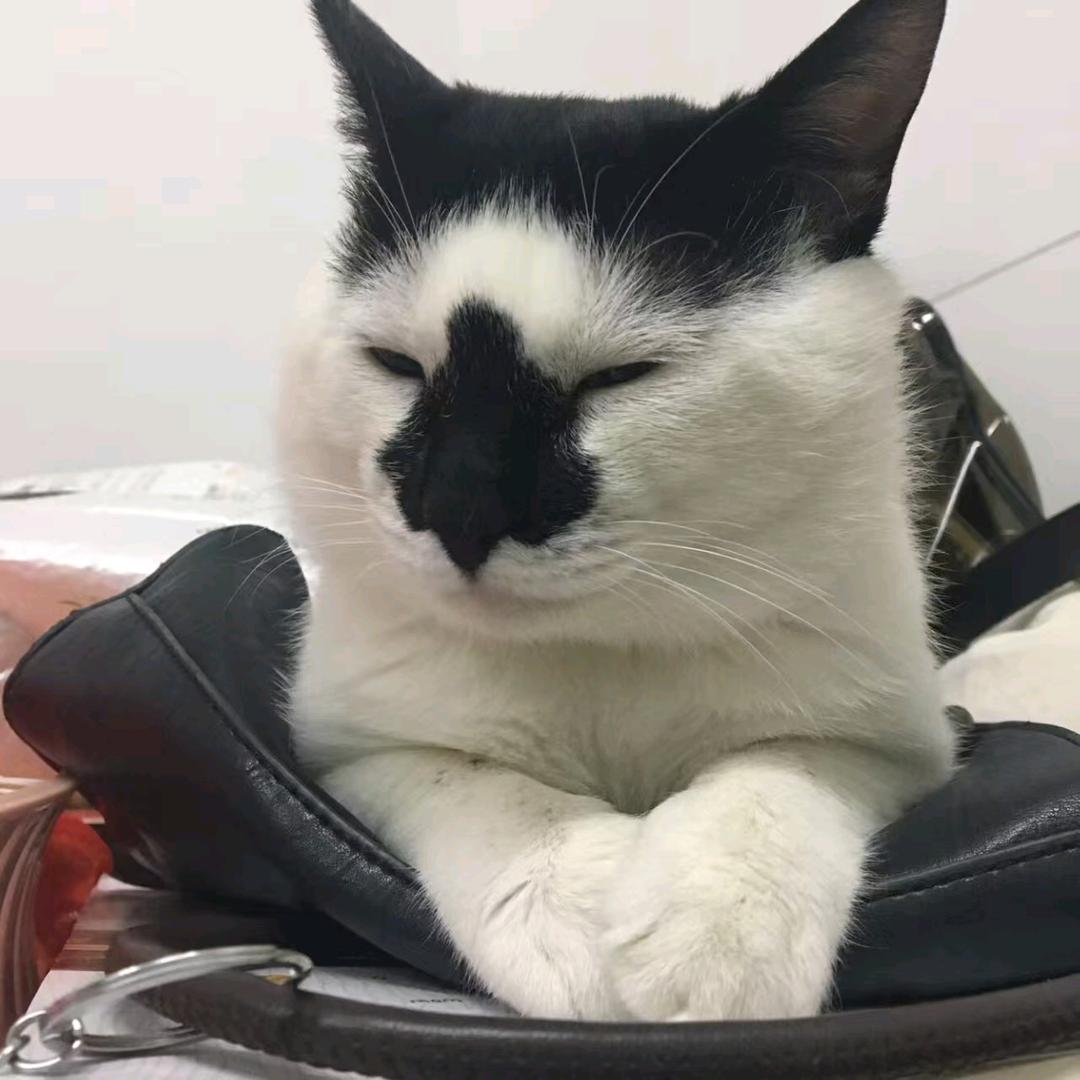 愤怒的爆浆大鸡屎！