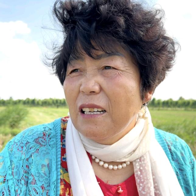 人间清醒《张豹》