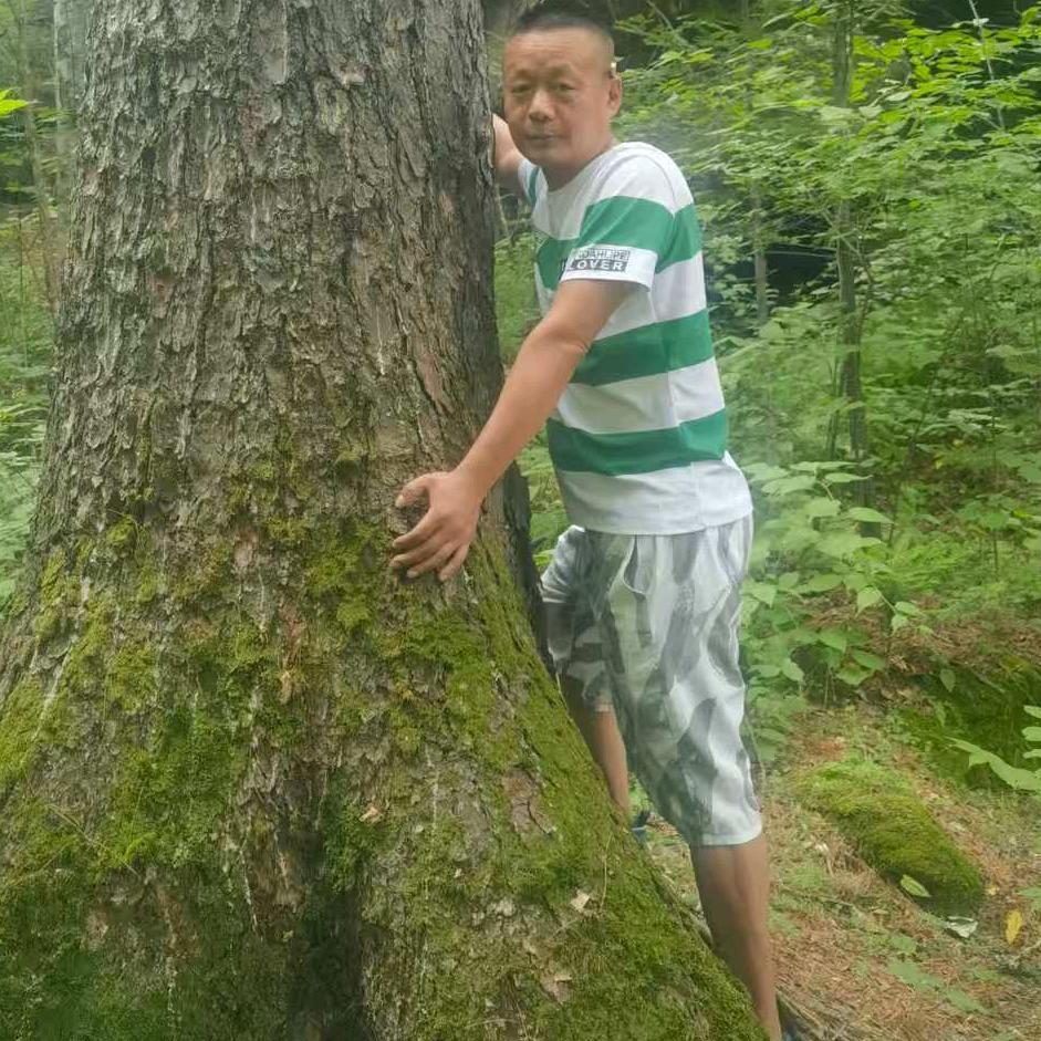 大东哥