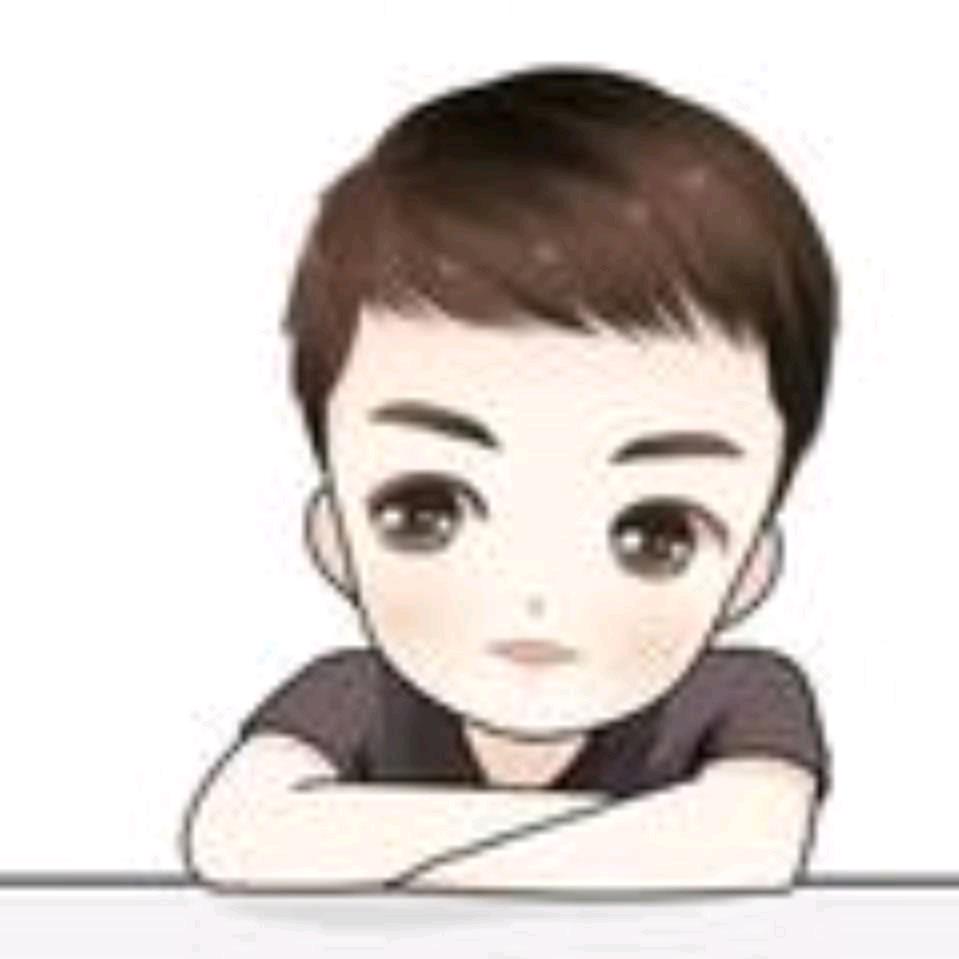 渣渣飞