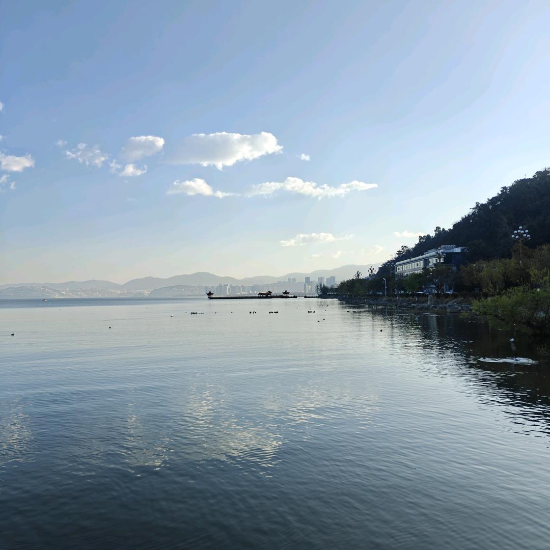 半山腰数星星✨